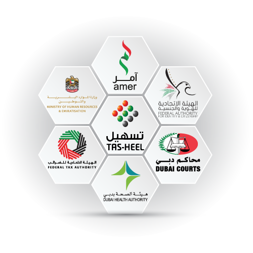 Amer, Tas-heel, Ministry of Human Resources and Emiratisation, Federal Authority for Identity and Citizenship, Federal Tax Authority, Dubai Courts and Dubai Health Authority